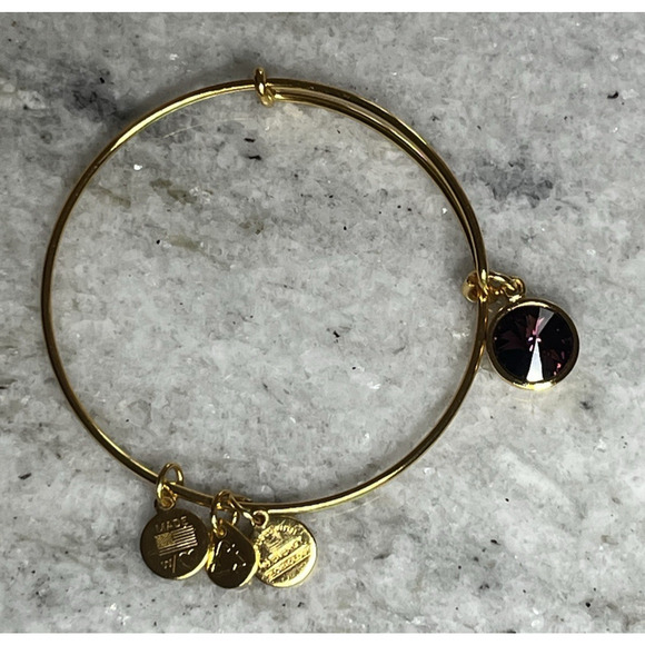 Alex and Ani Birthstone Energy Charm Bracelet Purple Stone Gold Tone - Picture 1 of 6